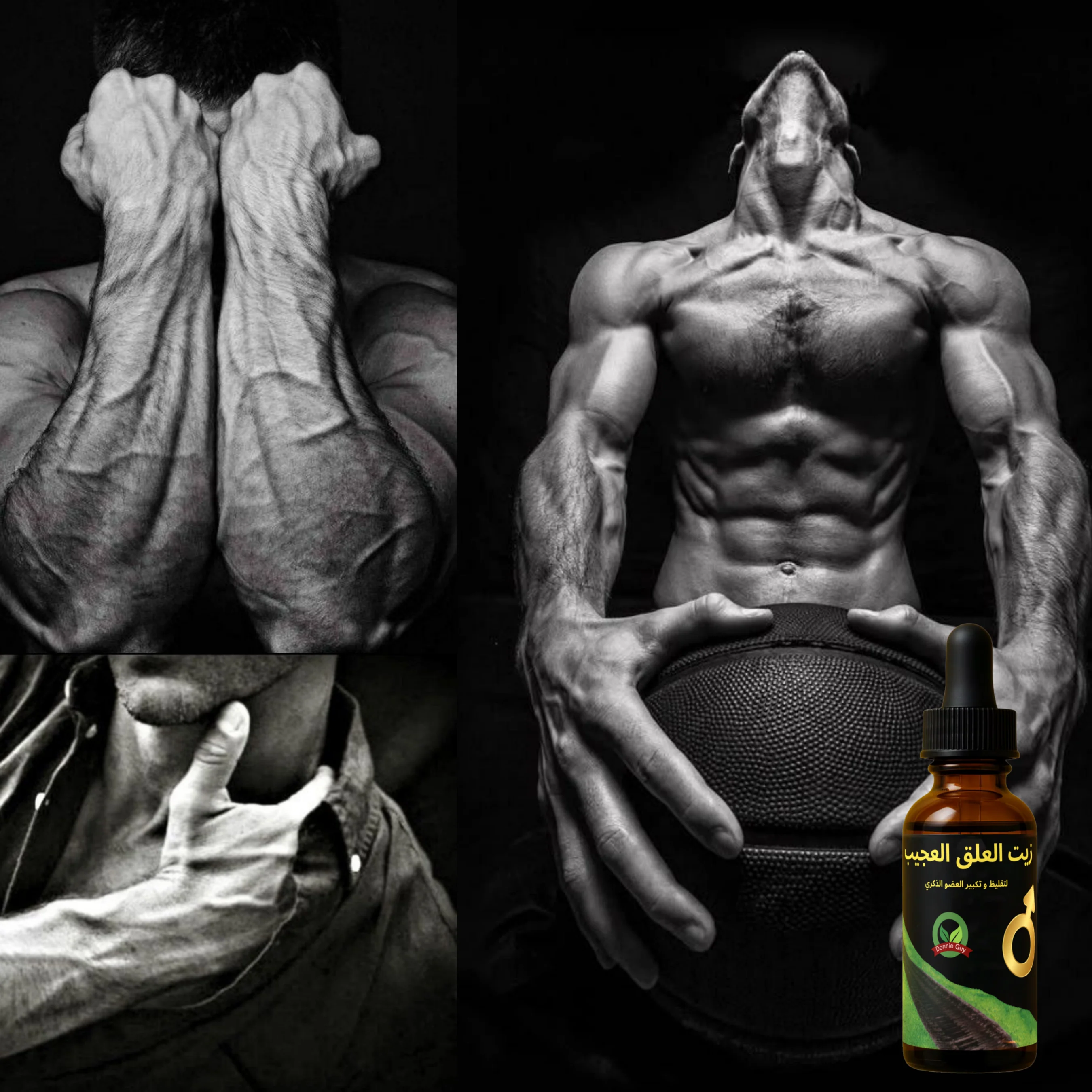 🌍 Óleo Essencial Prime Vitality 🌿 | 10% de desconto no primeiro pedido — Economize até 30% 💥 2º item com 50% de desconto 🎁 Frete grátis + brinde surpresa incluso