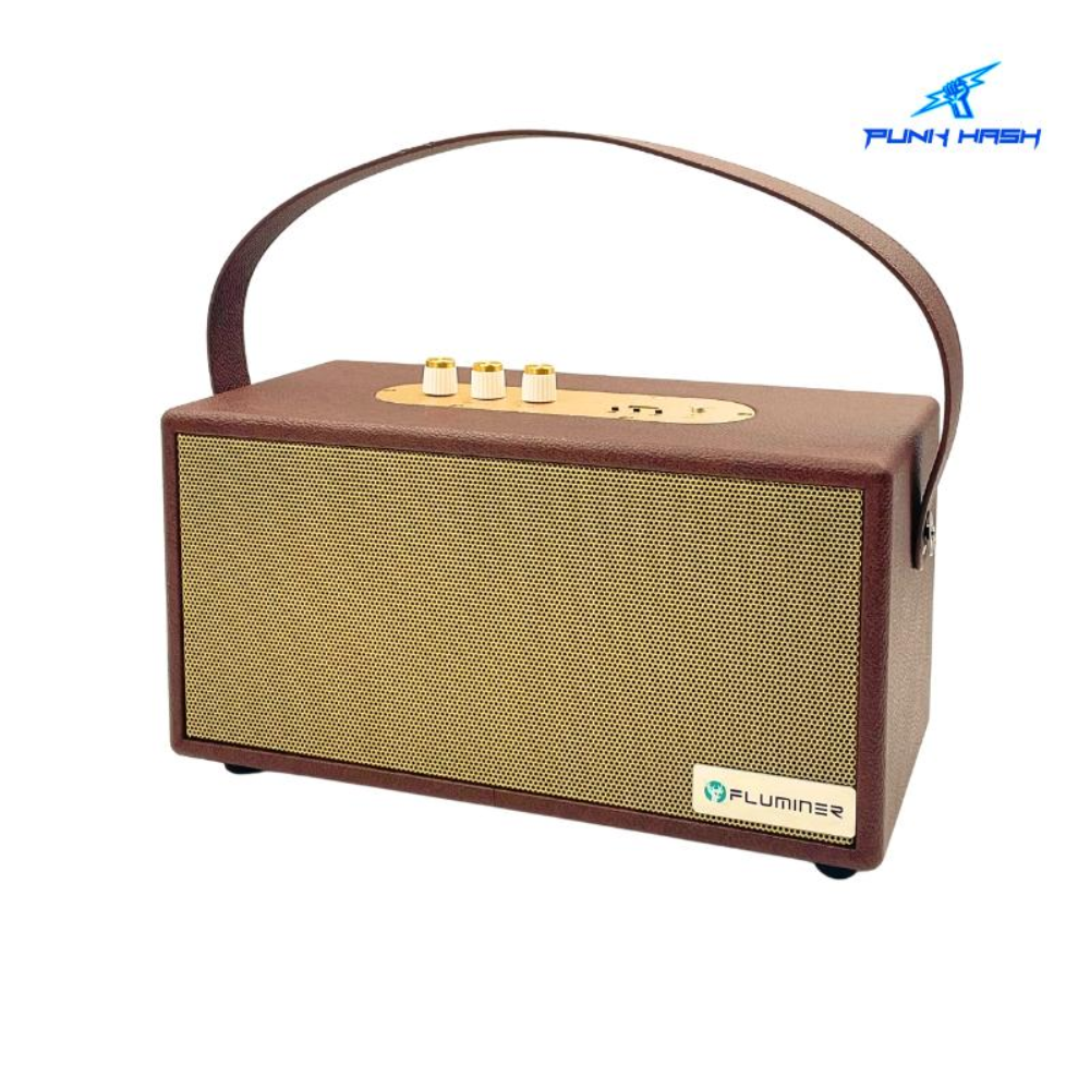 Fluminer L2 LTC & Dogecoin Miner