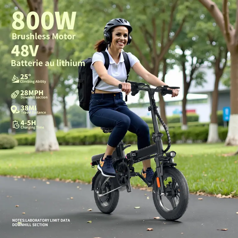 Bicicleta eléctrica plegable de 48 V y 800 Wh de potencia máxima: autonomía de 56 km