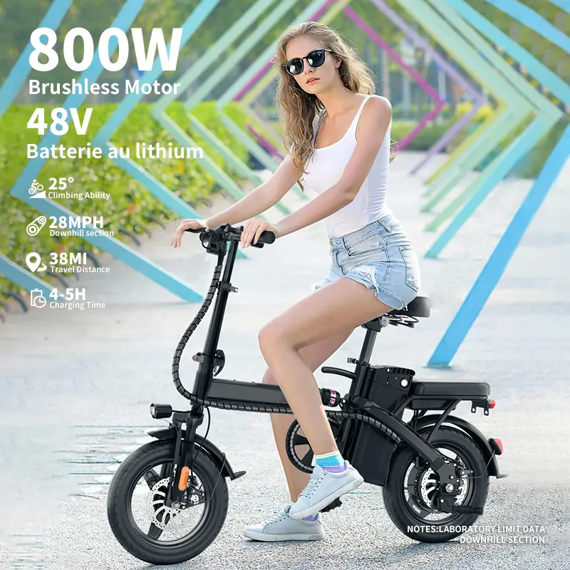Bicicleta eléctrica plegable de 48 V y 800 Wh de potencia máxima: autonomía de 56 km