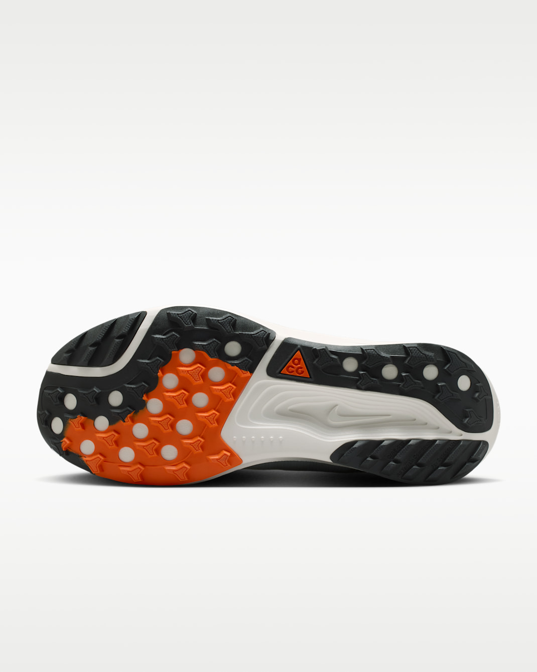 ナイキ ACG ペガサス トレイル