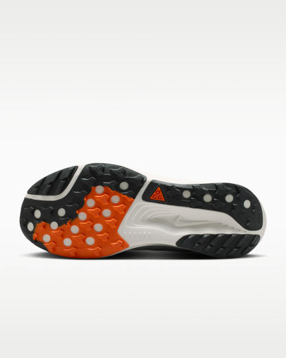 ナイキ ACG ペガサス トレイル