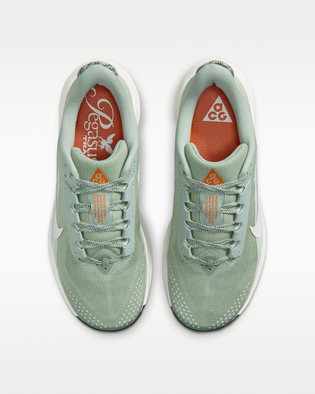 ナイキ ACG ペガサス トレイル