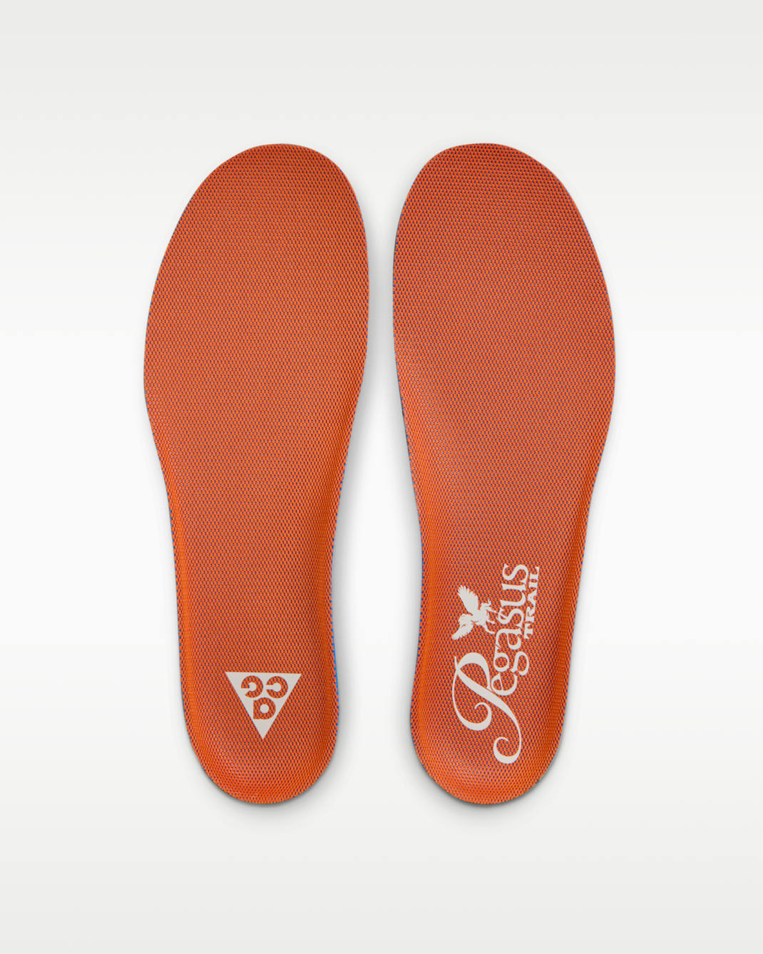 ナイキ ACG ペガサス トレイル