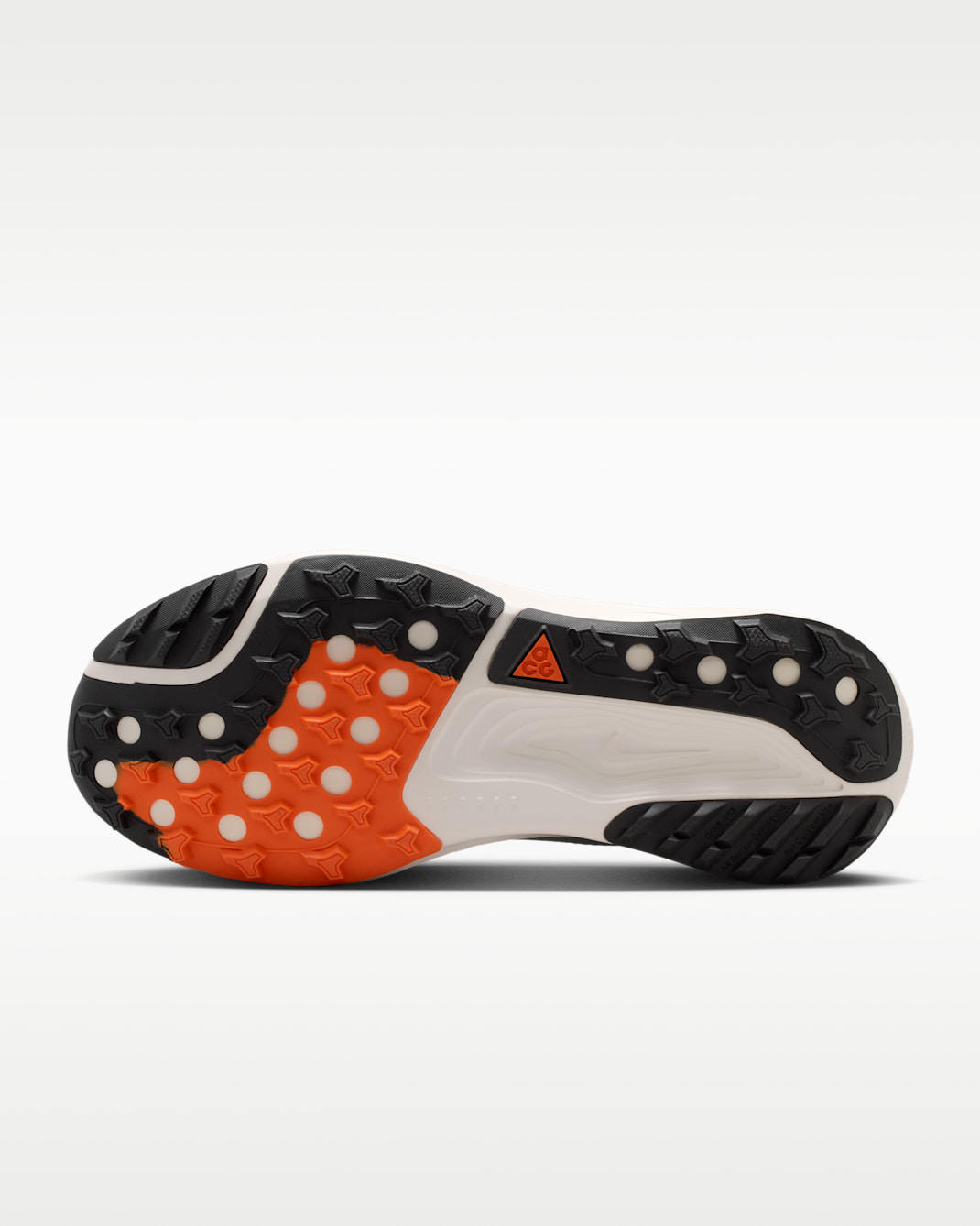 ナイキ ACG ペガサス トレイル