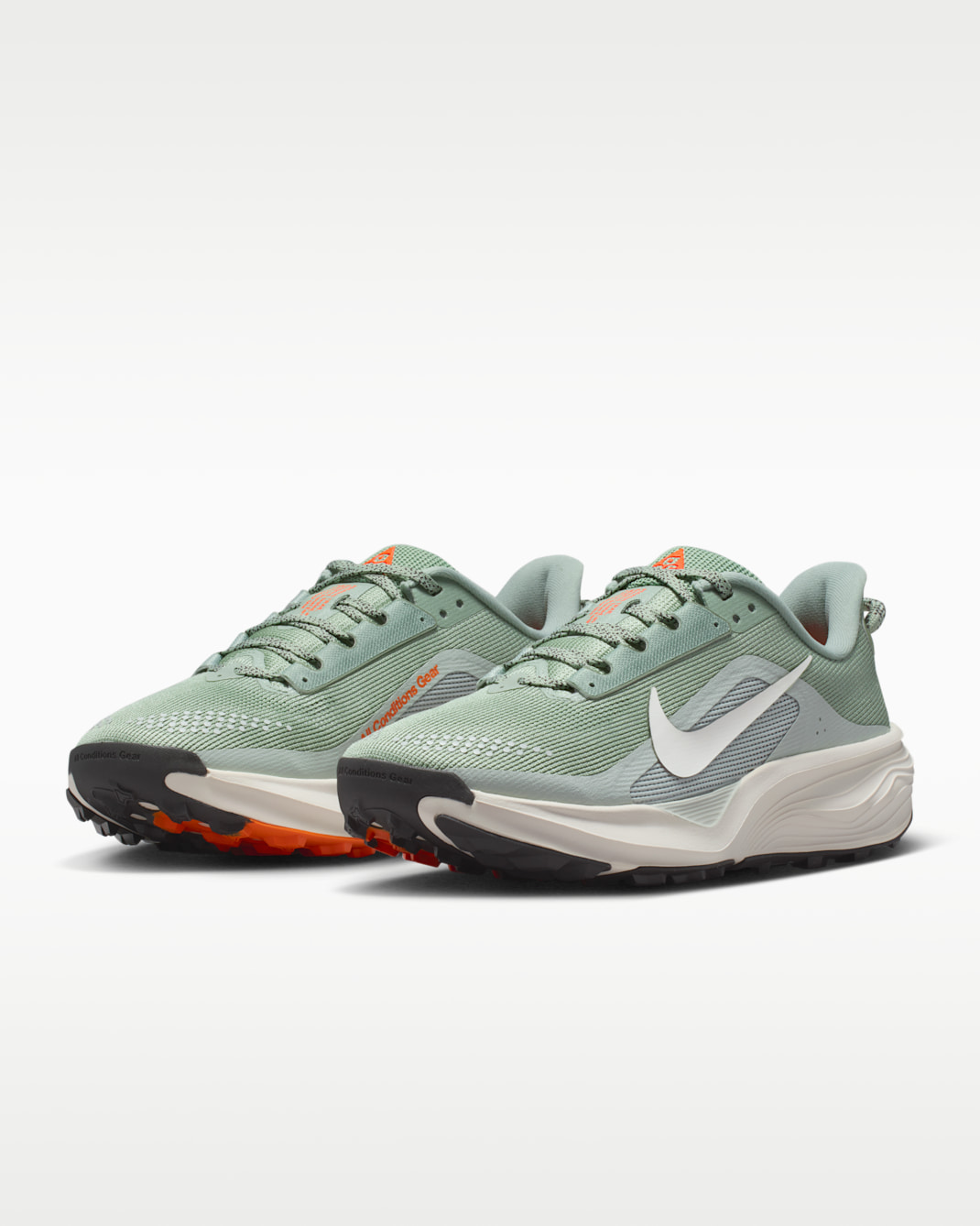 ナイキ ACG ペガサス トレイル