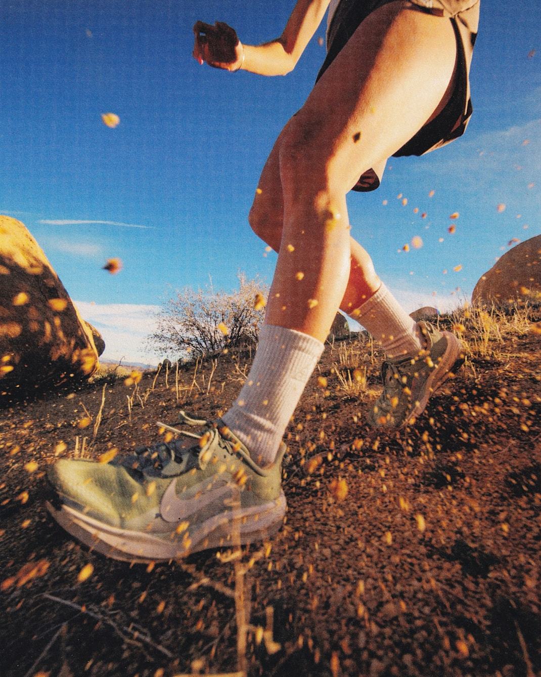 ナイキ ACG ペガサス トレイル