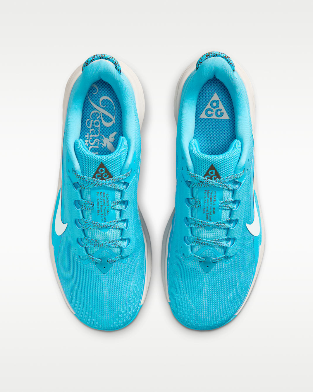 ナイキ ACG ペガサス トレイル