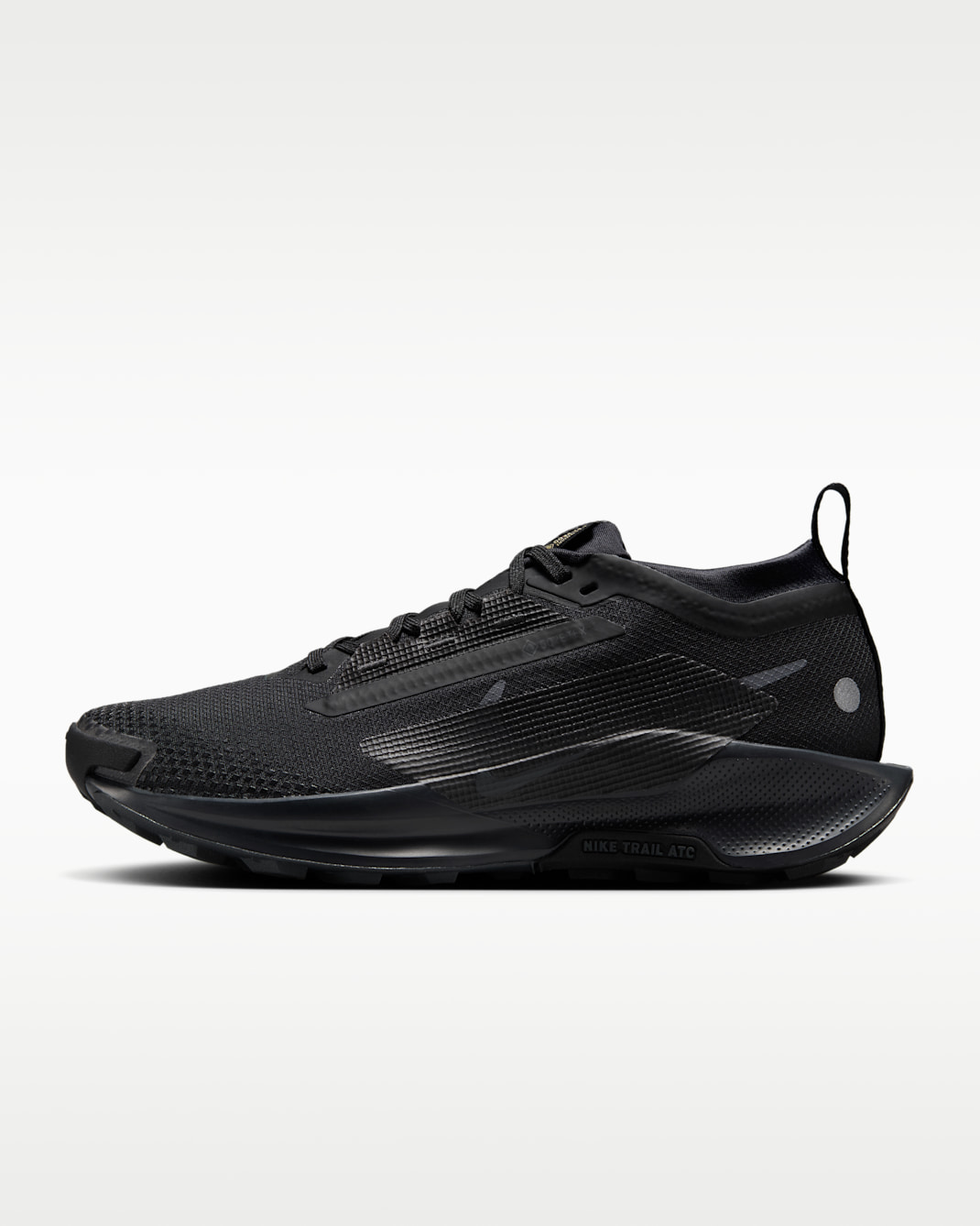 ナイキ ペガサス トレイル 5 GORE-TEX