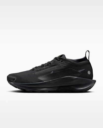 ナイキ ペガサス トレイル 5 GORE-TEX