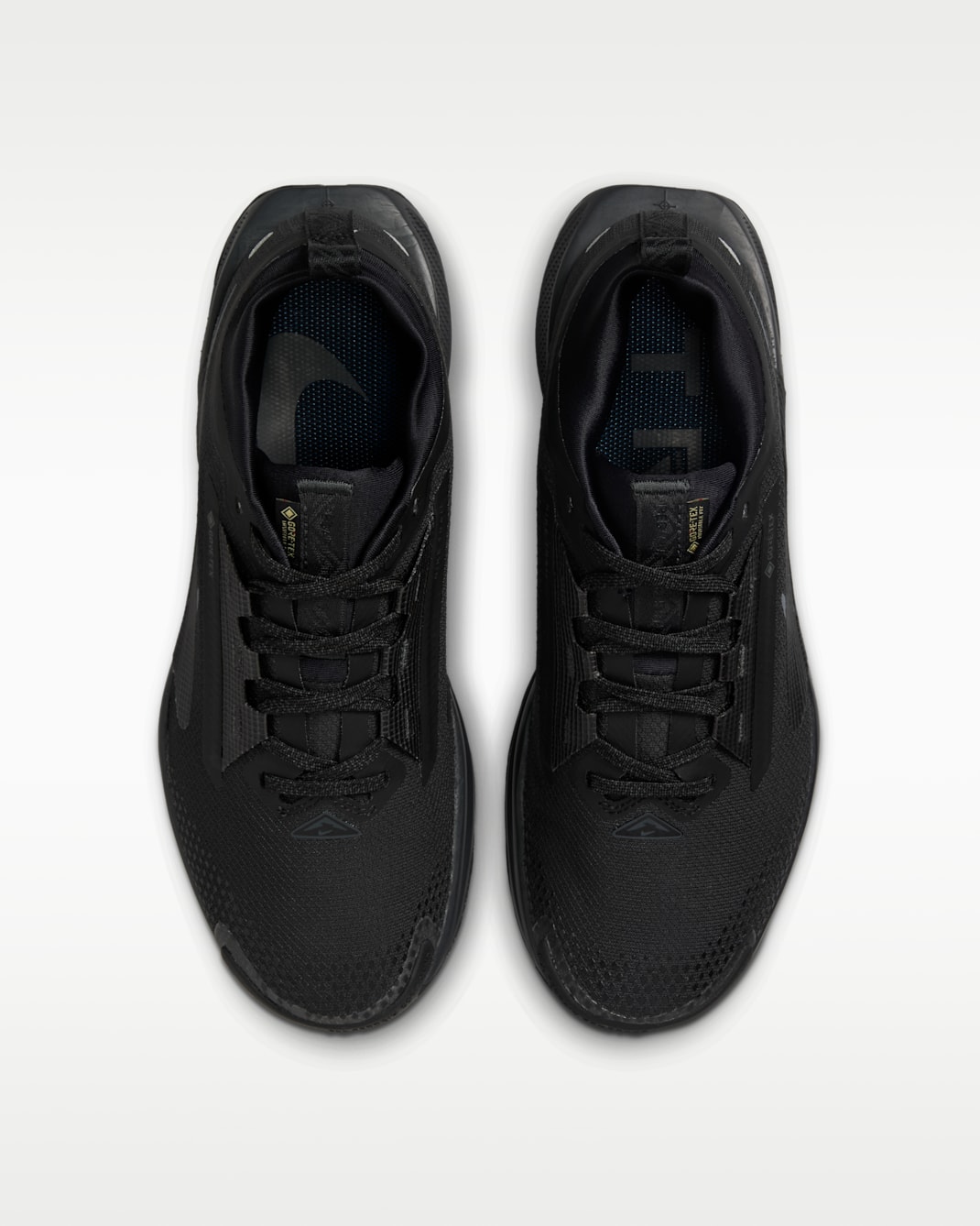 ナイキ ペガサス トレイル 5 GORE-TEX