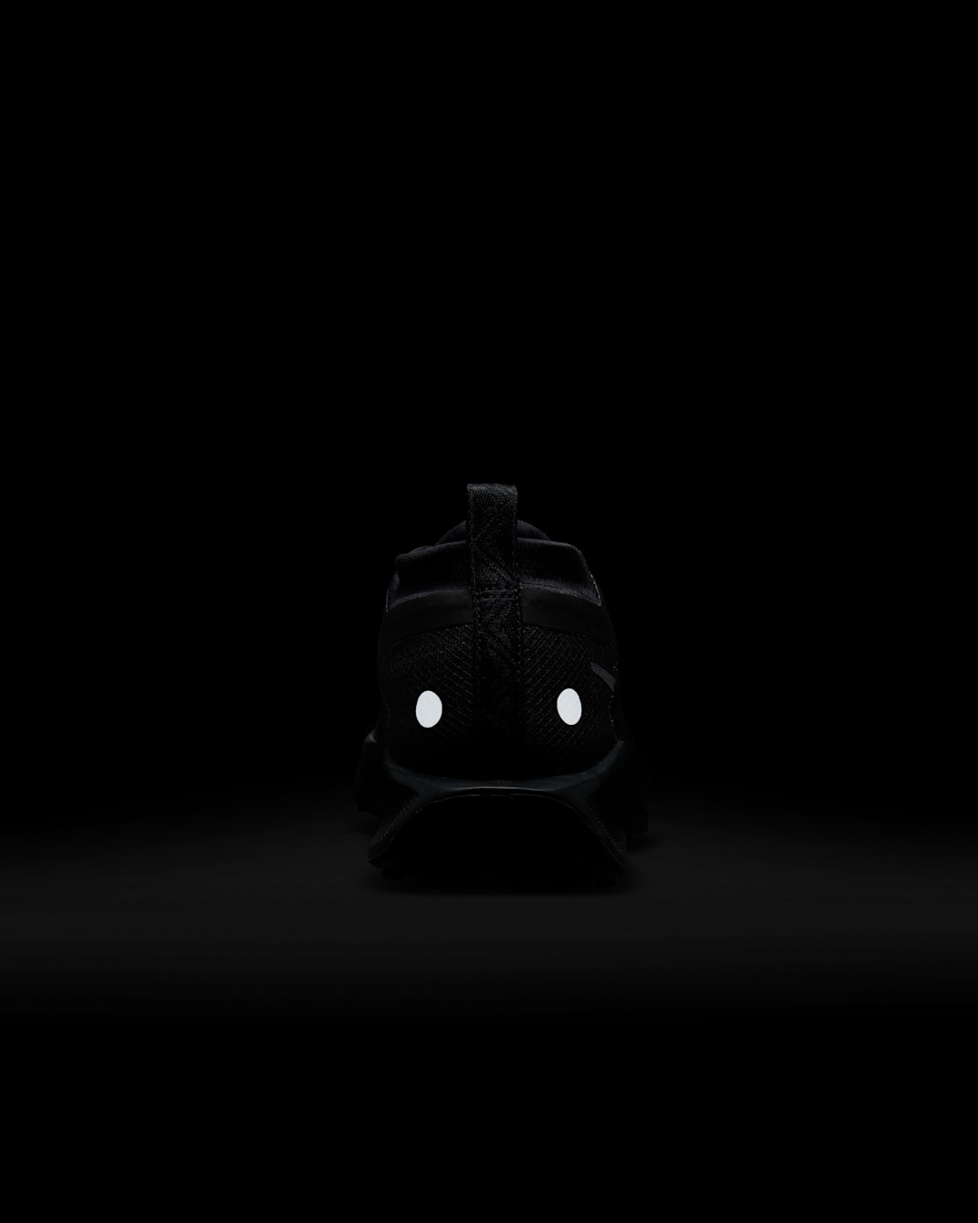 ナイキ ペガサス トレイル 5 GORE-TEX