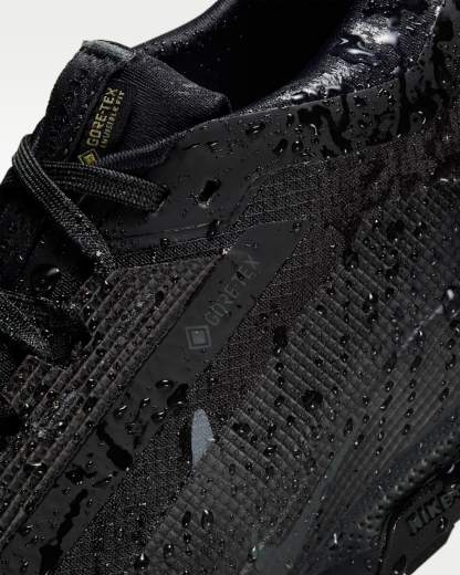 ナイキ ペガサス トレイル 5 GORE-TEX