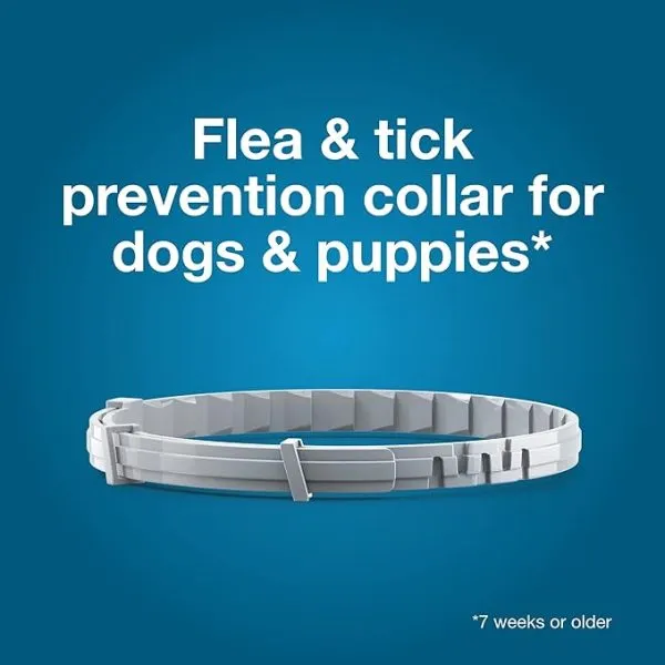 Seresto® Flea & Tick Collar for Large Dogs