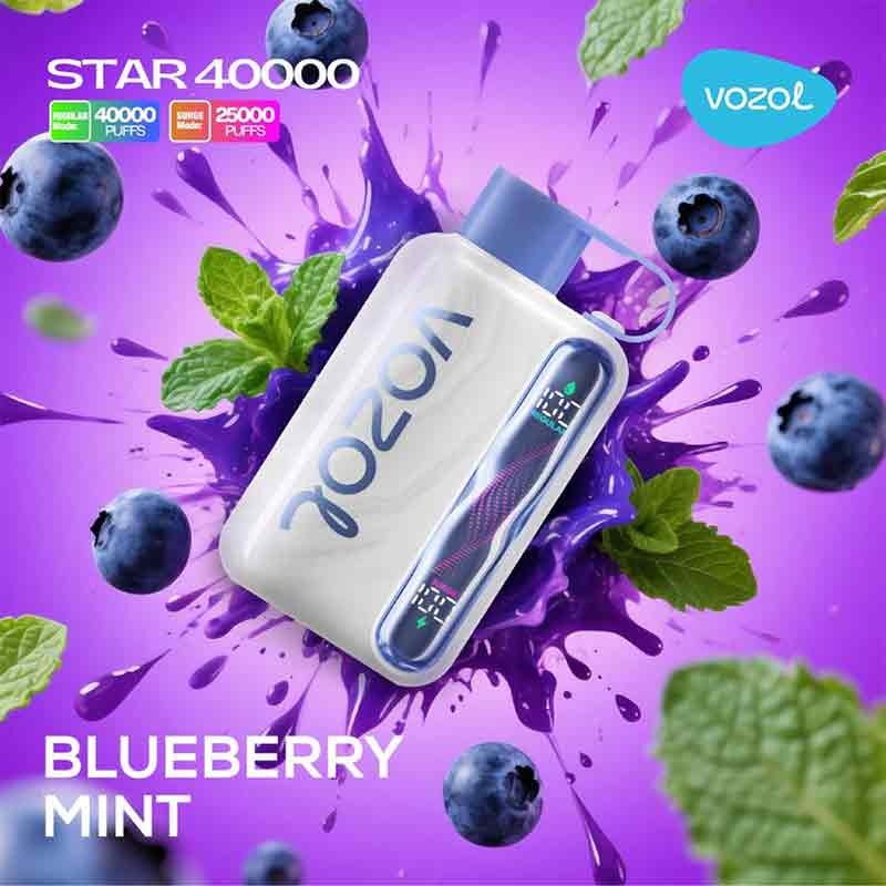 VOZOL STAR 40,000 - Blueberry Mint