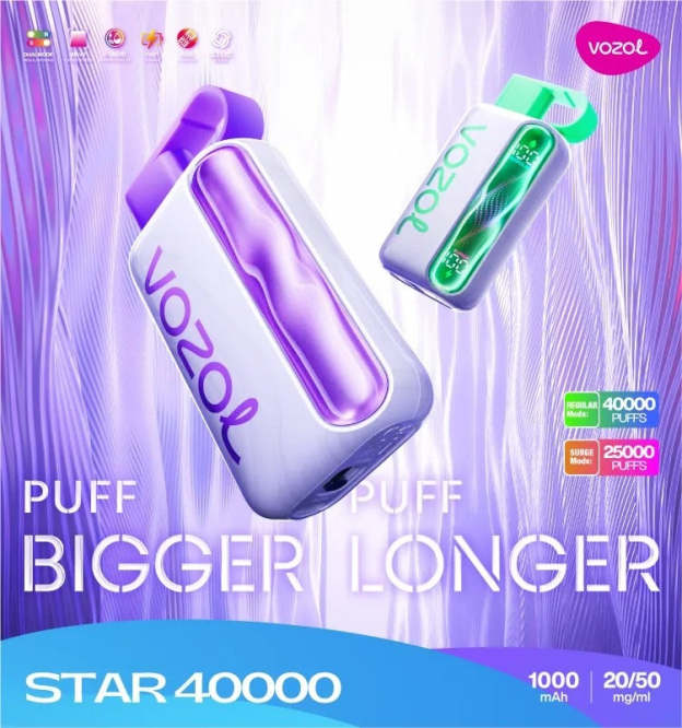 VOZOL STAR 40,000 - Blueberry Mint
