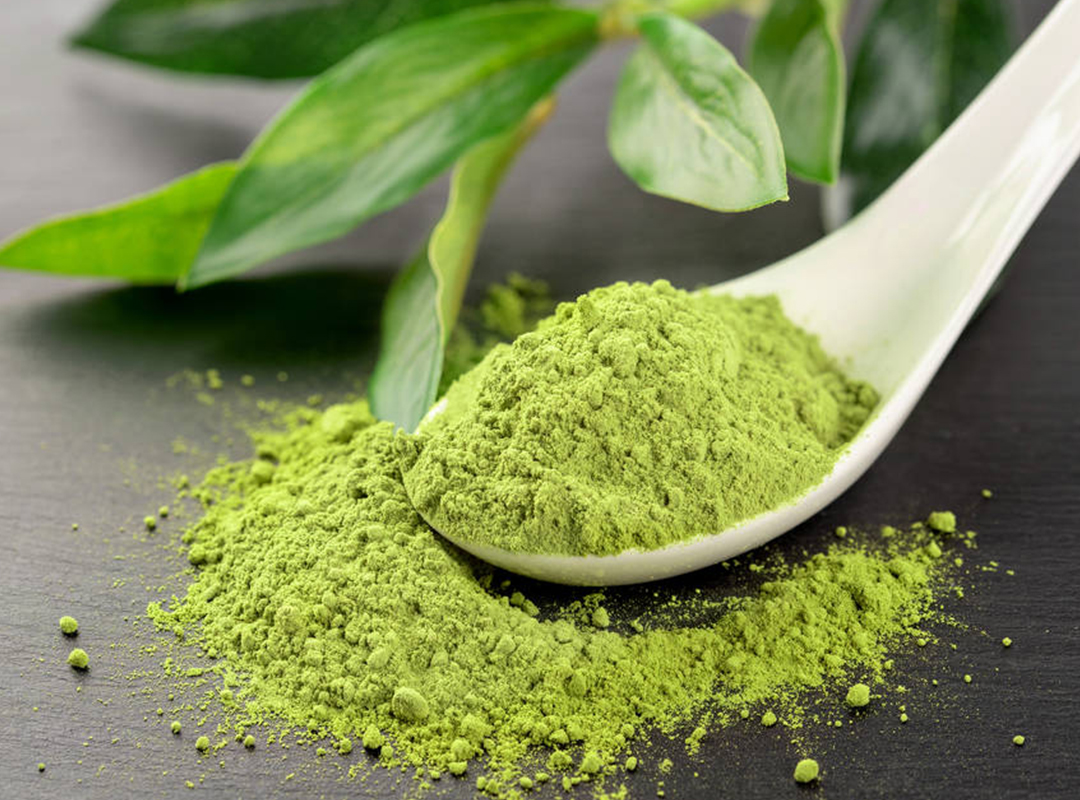 Matcha OEM & Private Label: Complete Guide for Brands
