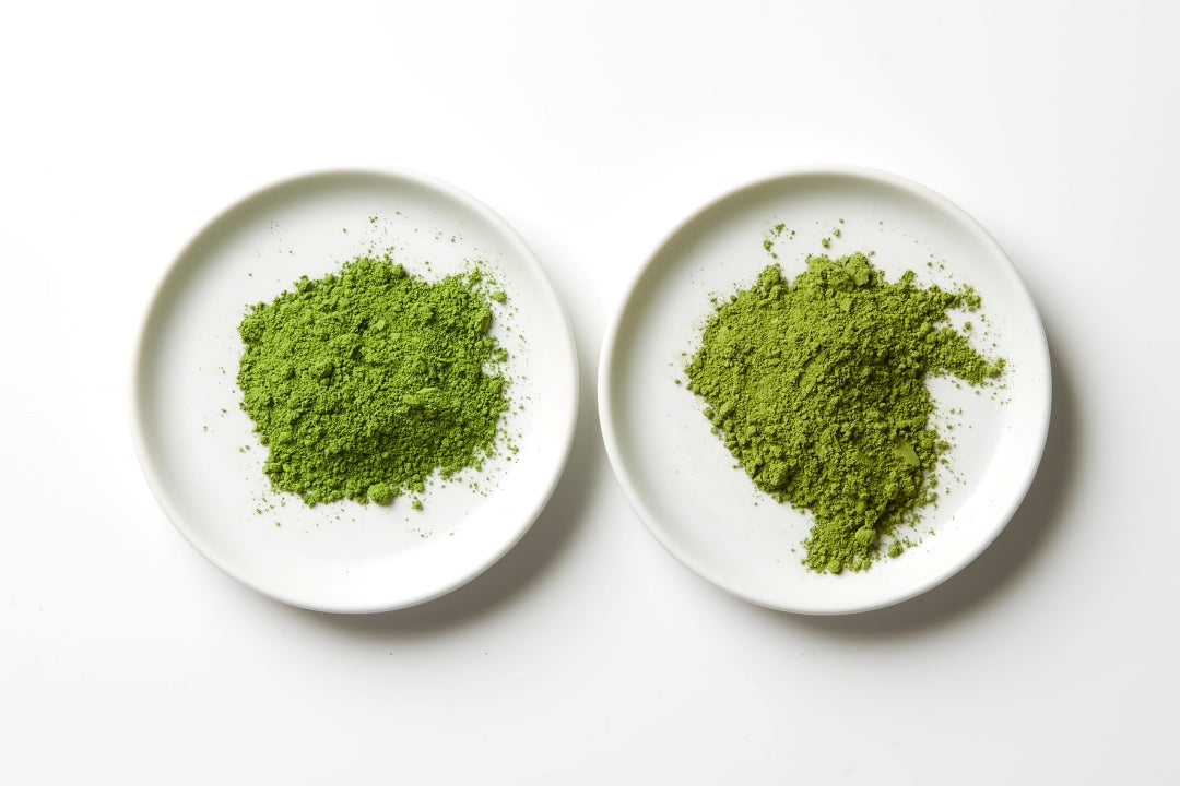 Ceremonial Grade Matcha vs. Culinary Grade Matcha: What's the Differen &ndash;  MATCHA DIRECT