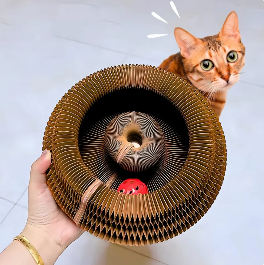 Magic Organ Cat Scratching Board--Comes with a toy bell ball and catnip