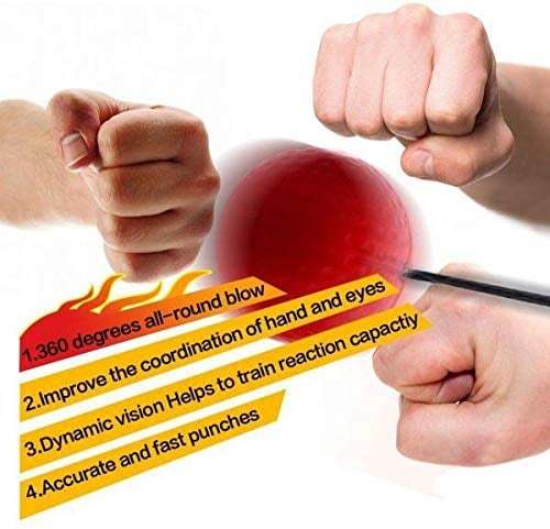 Boxing Reflex Ball Headband🥊🎁