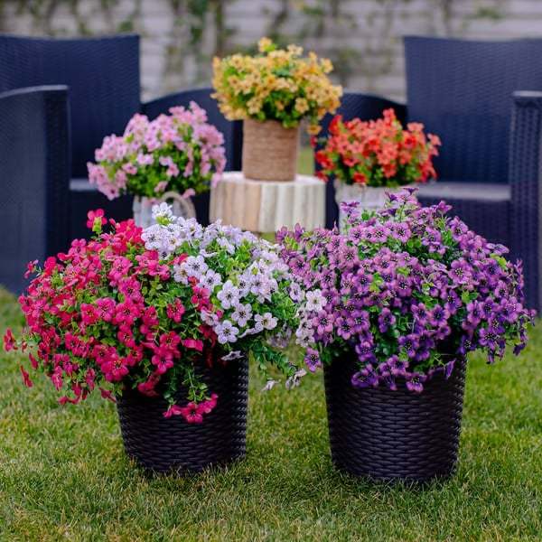 🌸Last Day 49% OFF🌱High-Grade Material Artificial Flowers (Zero Pollen Allergies)