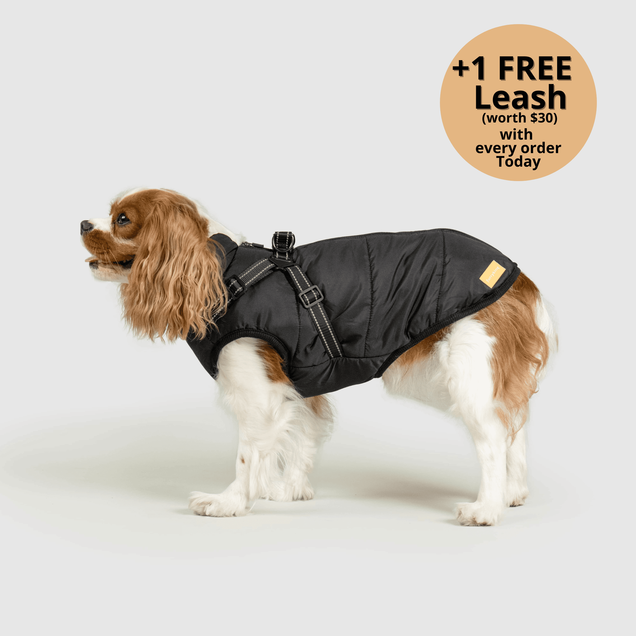 🔥 Waterproof Winter Dog Jacket with Built-in Harness 3 in 1 Winter Jacket🎁
