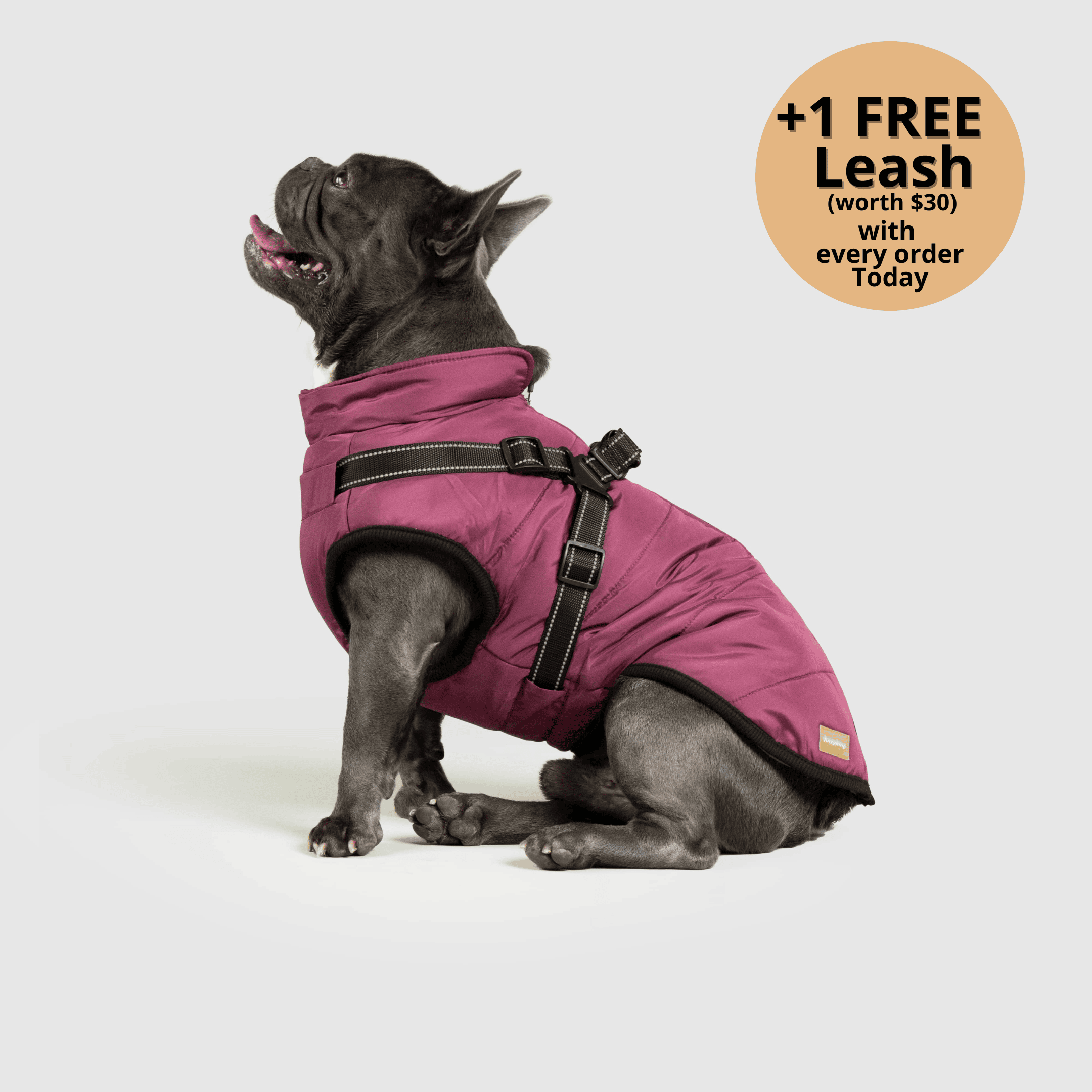 🔥 Waterproof Winter Dog Jacket with Built-in Harness 3 in 1 Winter Jacket🎁