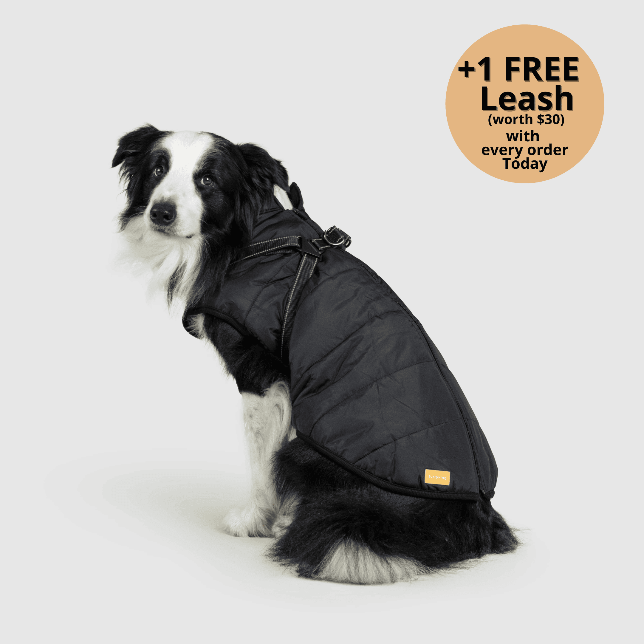 🔥 Waterproof Winter Dog Jacket with Built-in Harness 3 in 1 Winter Jacket🎁