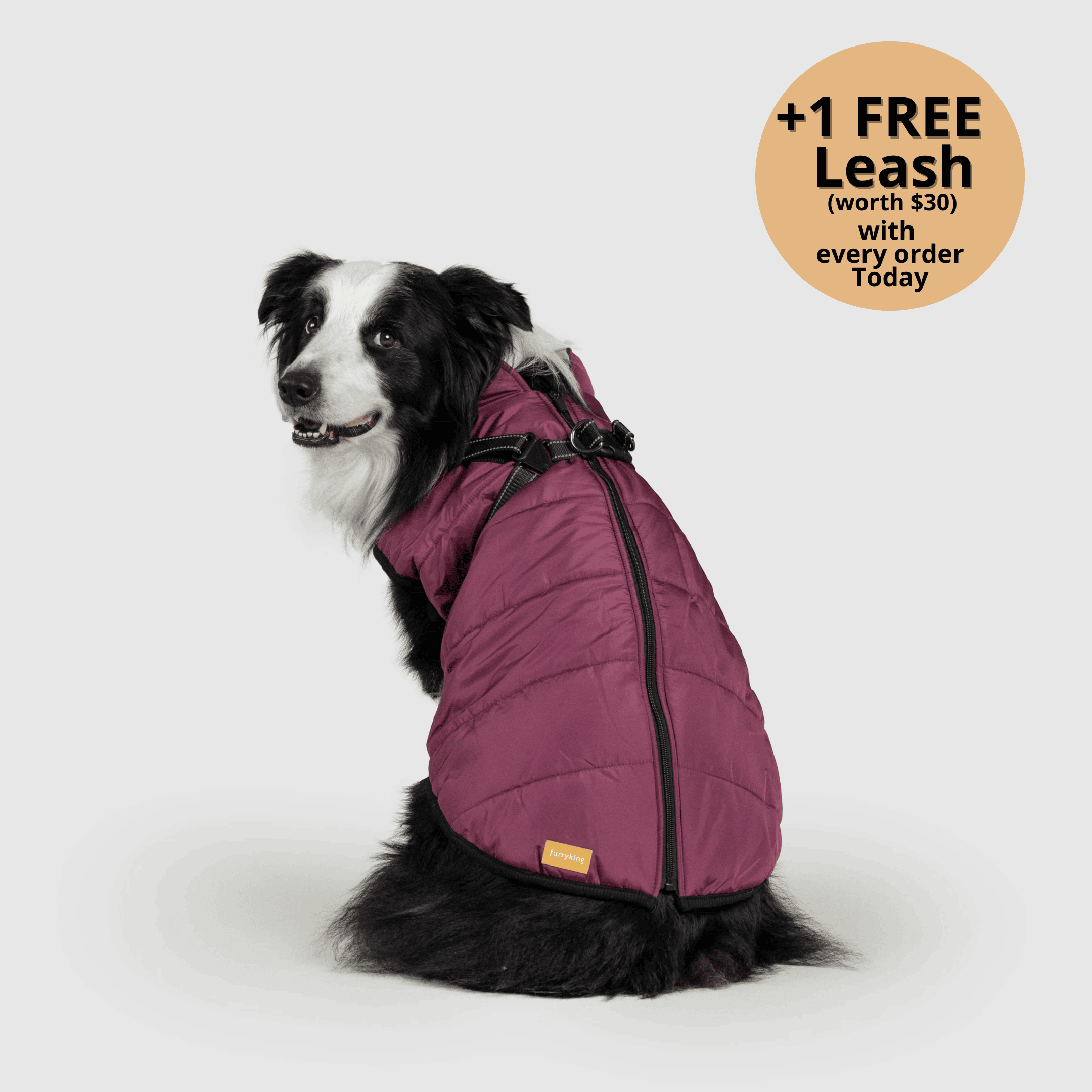 🔥 Waterproof Winter Dog Jacket with Built-in Harness 3 in 1 Winter Jacket🎁