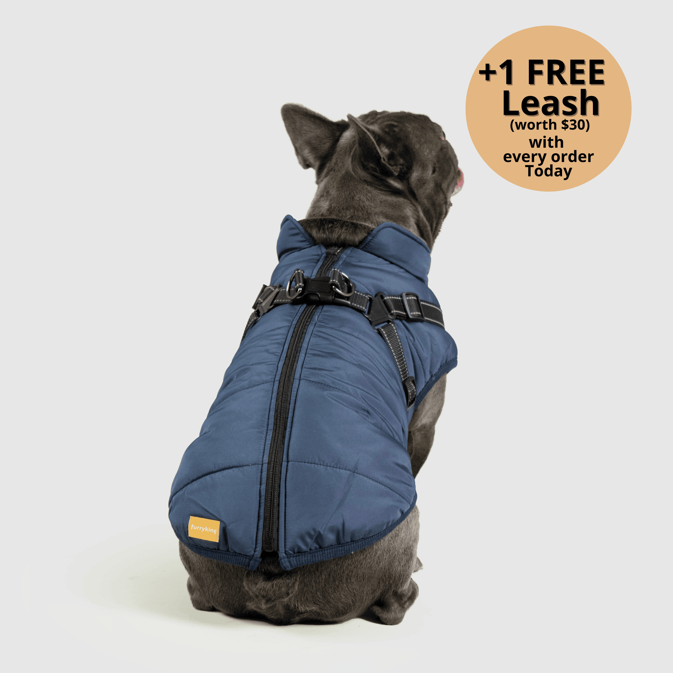 🔥 Waterproof Winter Dog Jacket with Built-in Harness 3 in 1 Winter Jacket🎁