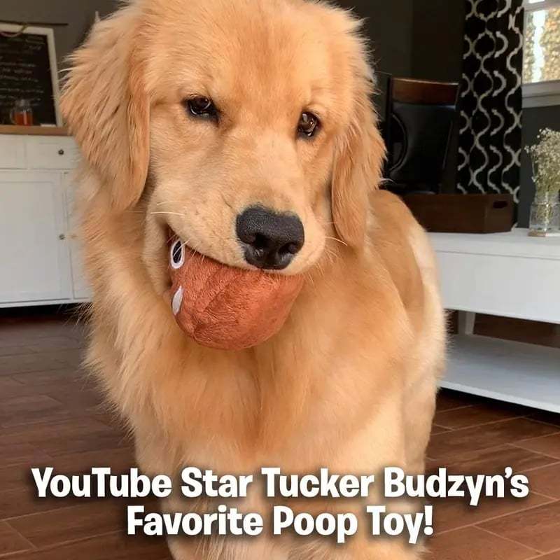 💩🤣 Farting Plush Poop Toy – Endless Laughs & Party Fun for Family & Pets