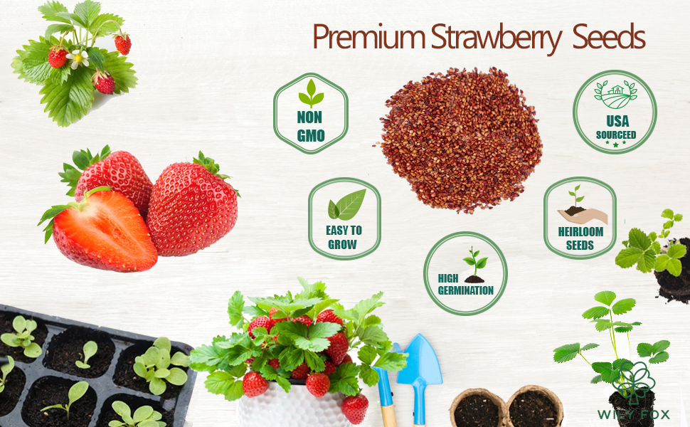 Red Strawberry seeds