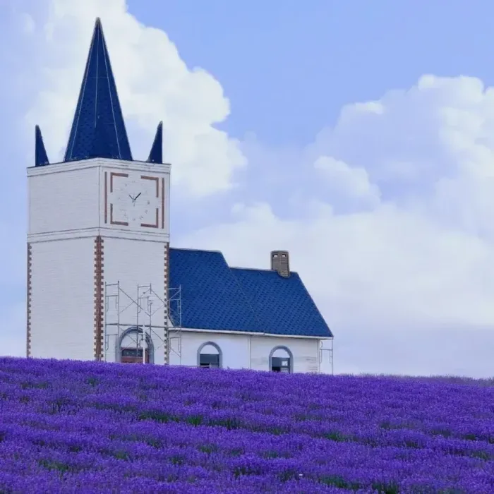 💐Levanduľové semienka