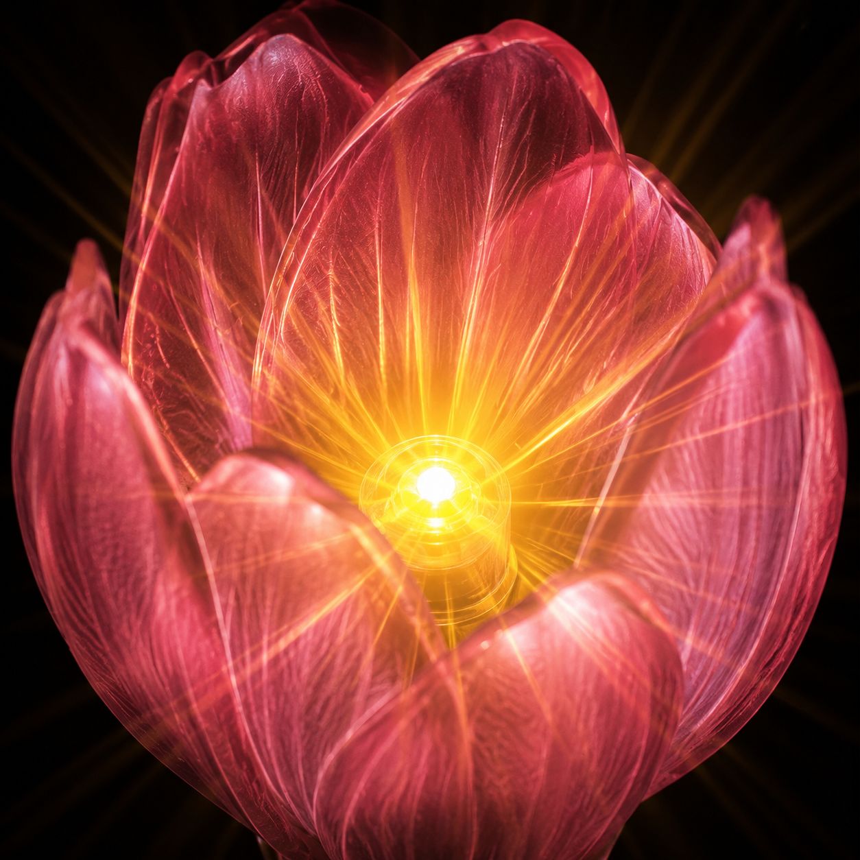 Romantic tulip LED flower arrangement for home