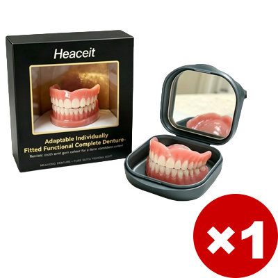 Portable denture case