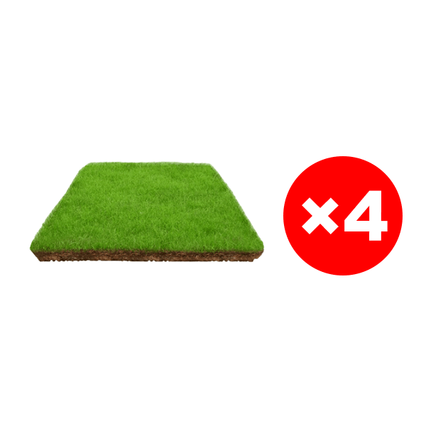 7-Day Germination Grass Seed – Limited Sale of Newest Improved Variety