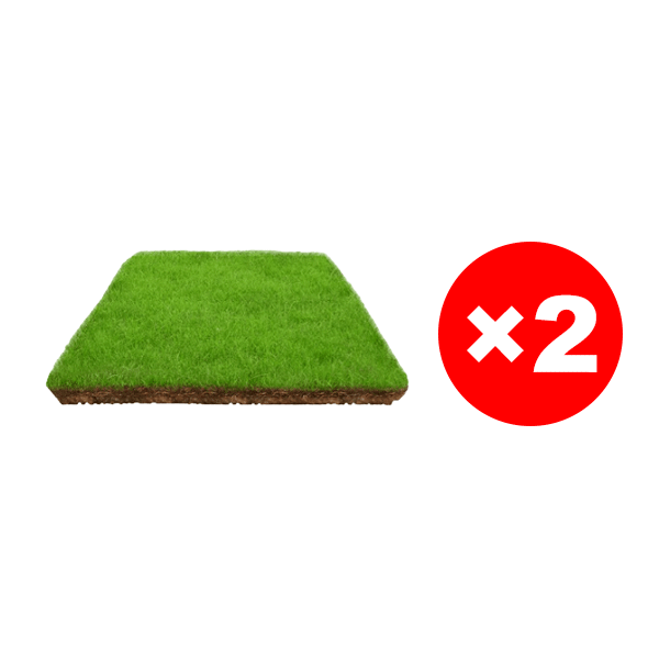 7-Day Germination Grass Seed – Limited Sale of Newest Improved Variety