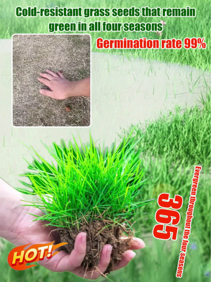   100% Germination Guarantee | Ships from USA |  3-Day Delivery