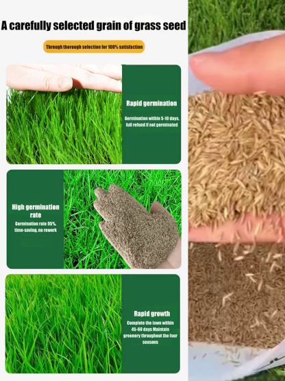  100% Germination Guarantee | Ships from USA |  3-Day Delivery