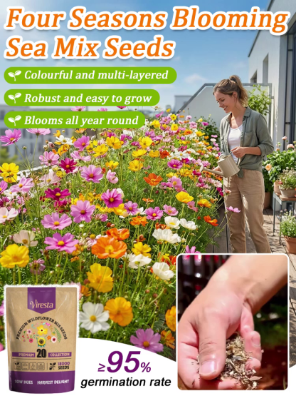 【Over 240,000 Purchased】Easy-to-Grow Mixed Flower Seeds