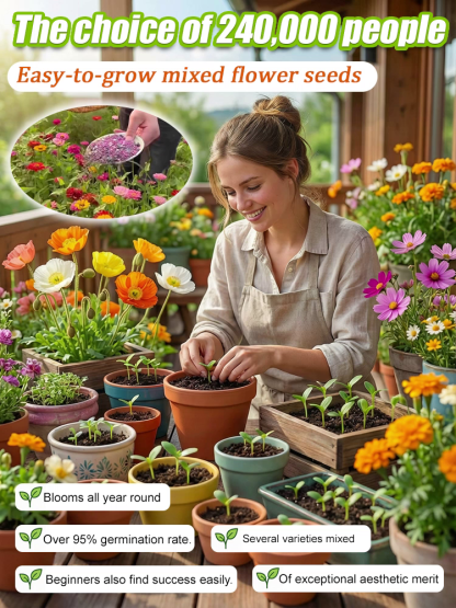 【Over 240,000 Purchased】Easy-to-Grow Mixed Flower Seeds