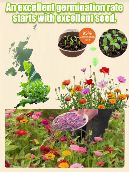 【Over 240,000 Purchased】Easy-to-Grow Mixed Flower Seeds