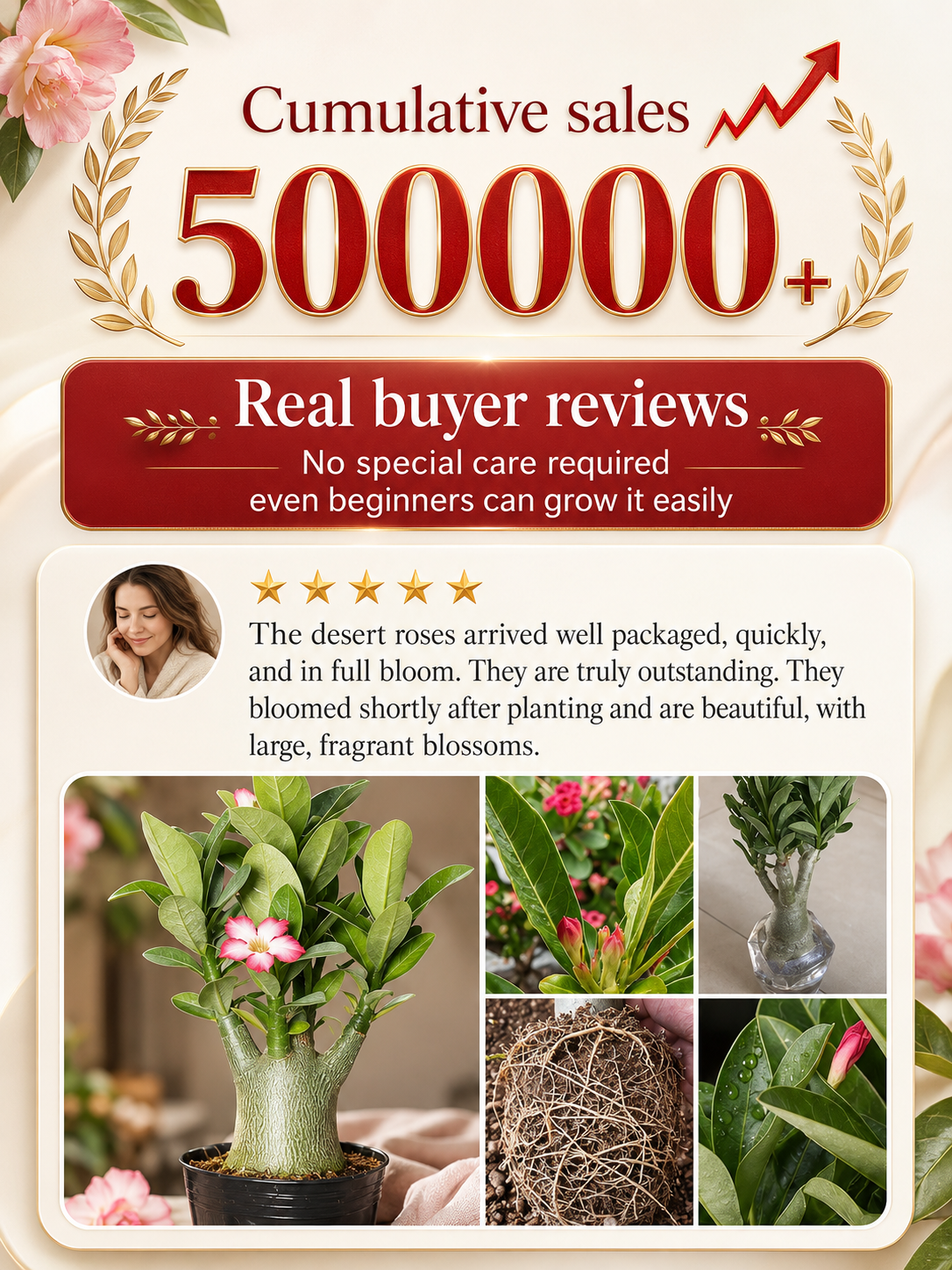 Desert Rose Bulb Flower – Just Water to Thrive for 100 Years