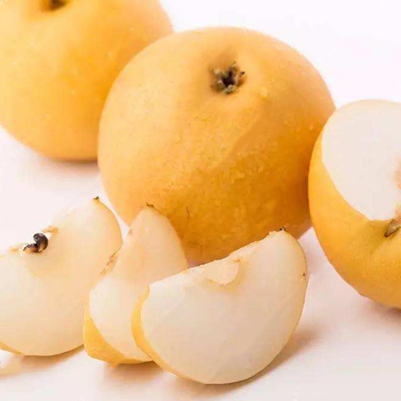 Egrow 10Pcs/Bag körte magvak sárga kínai körtefa bonsai magvak édes ízletes egzotikus gyümölcs magvak-Clara Rosan