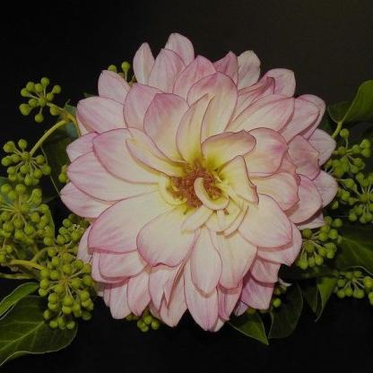 ÉDES NATHALIE-Clara Rosan