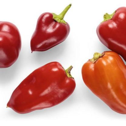 Csípős paprika-Clara Rosan