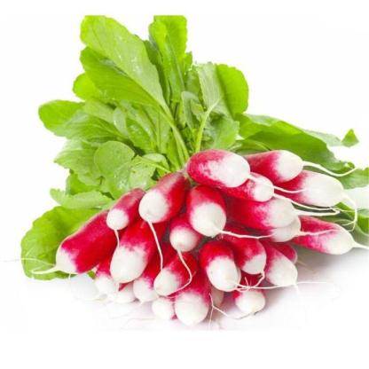 Hüvelykujj gyümölcs retek magok-Clara Rosan