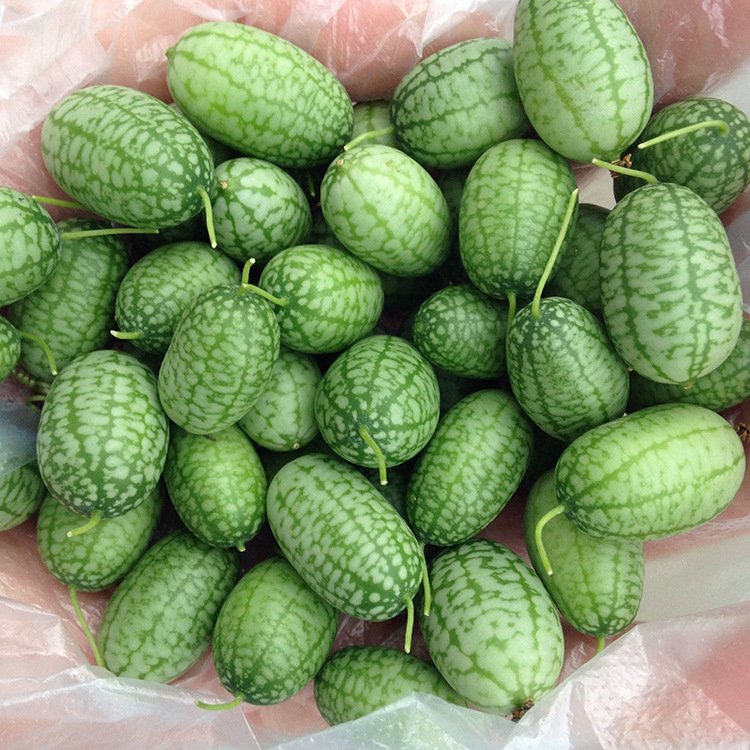 Hüvelykujj görögdinnye magok 🍉-Clara Rosan