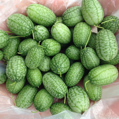 Hüvelykujj görögdinnye magok 🍉-Clara Rosan