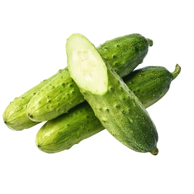 🥒Crawling Fruit Uborka Magok-Clara Rosan